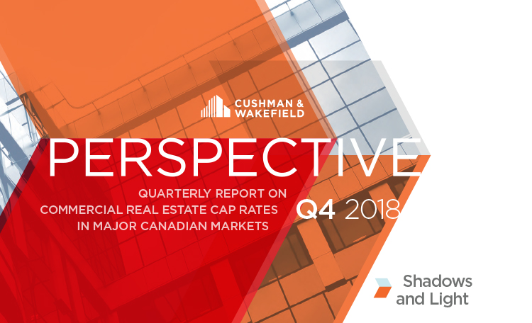 Q4 2018 Perspective Report