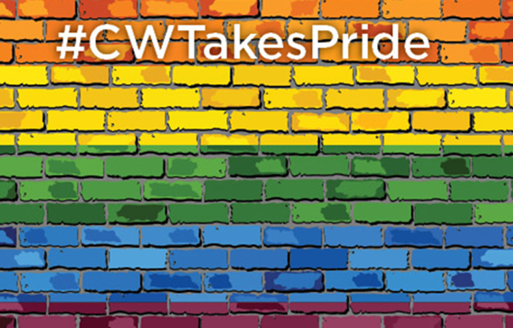 2019 Pride Campaign