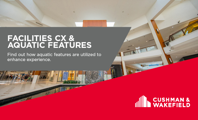 Facilities Customer Experience Enhancements: A look at the Rise of Aquatic Features