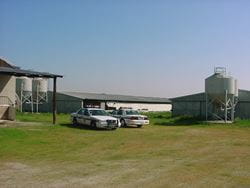 Judson Cline turkey Farm photo2