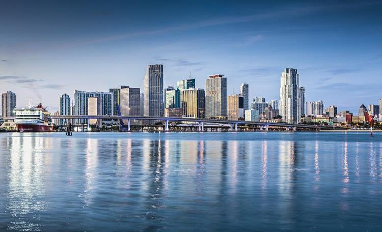 Miami Skyline