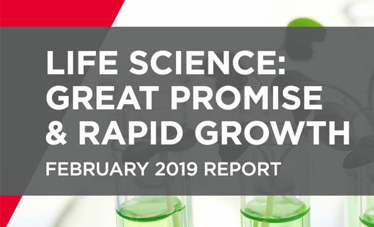 Research-LifeSciencesReport2019-card