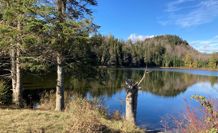 Perry Stream Land & Timber Selling Nearly 8,000 Acres in New Hampshire ...