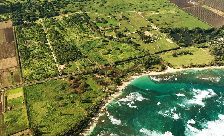 Dillingham Ranch