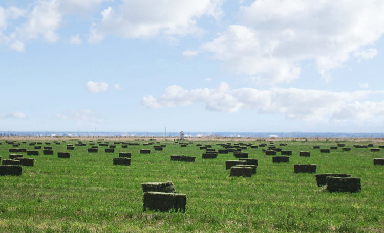 Nebeker Ranch Water Rights Card Image