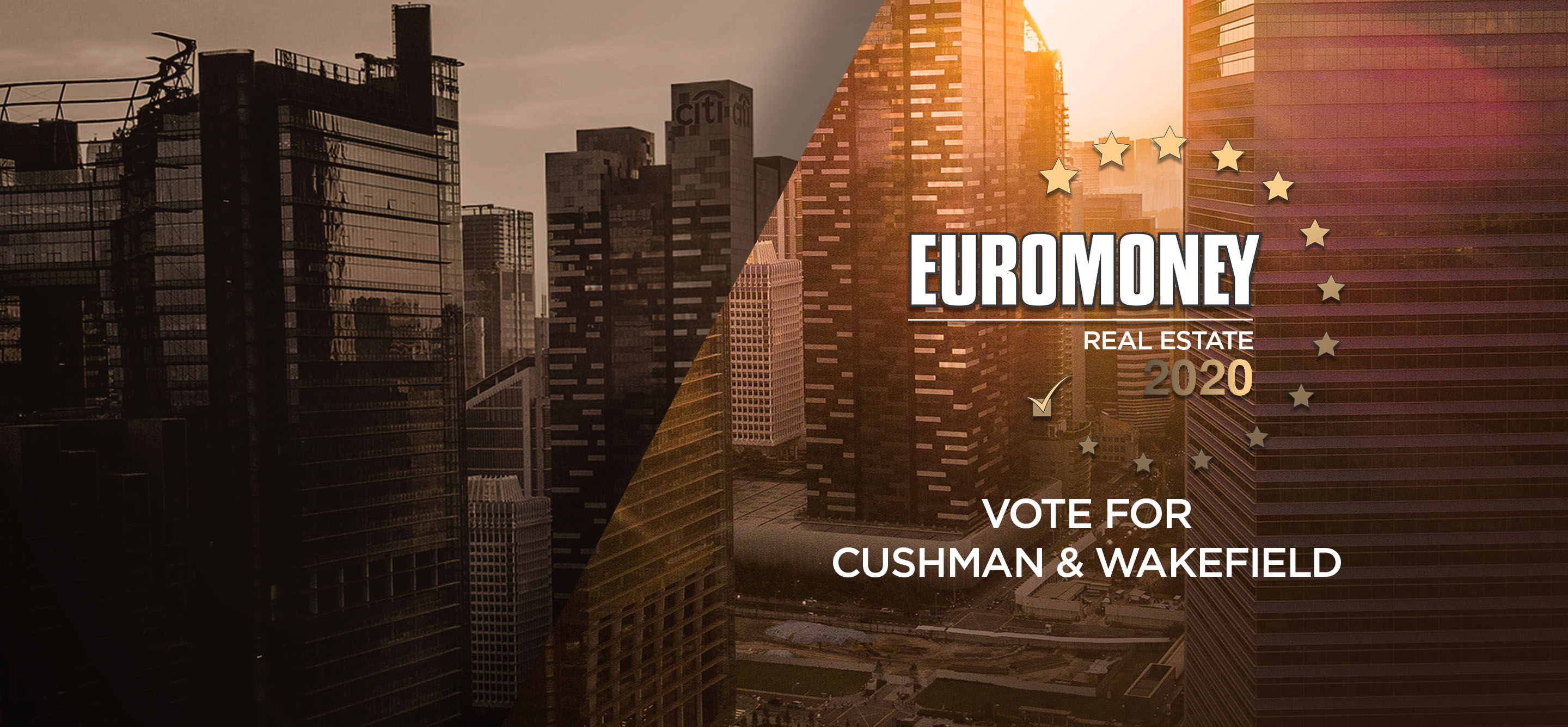 Euromoney Vote Survey 2020