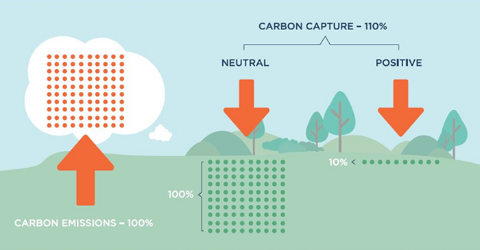 China Sustainability Climate Positive Report 2022 | Greater China ...