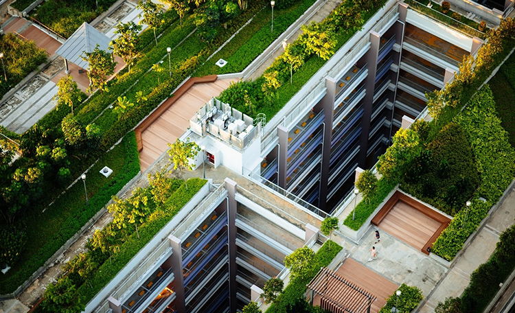 the-value-of-green-building-certifications-beyond-certifying-buildings