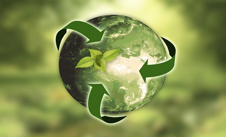 Earth Day – A Reflection