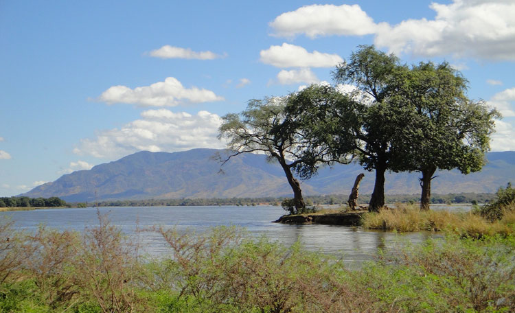 Zambia landscape