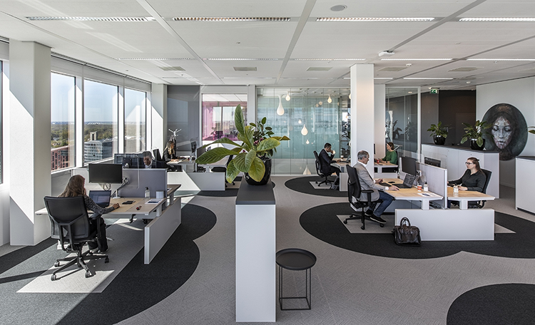 6FO Six Feet Office