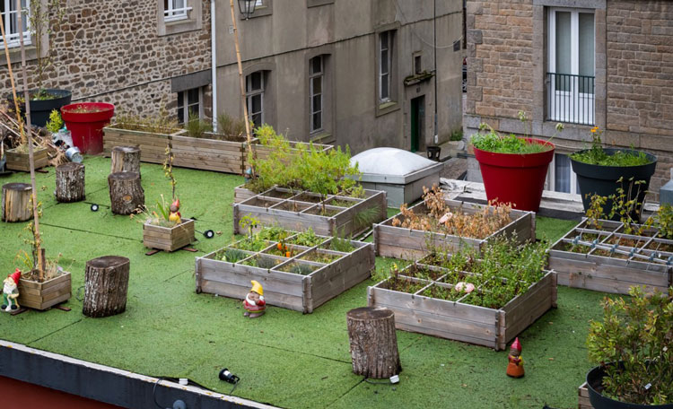 office rooftop garden with raised beds