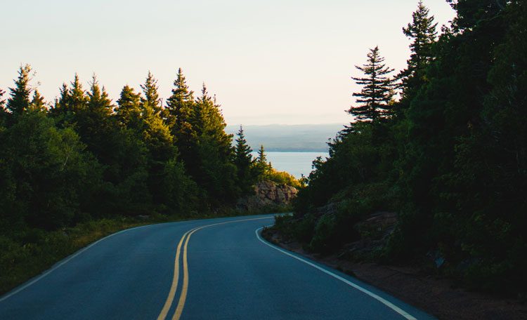 US winding road through trees, lake or sea in view ahead