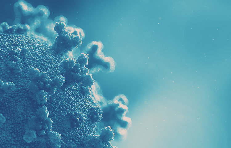 blue duotone close up of coronavirus
