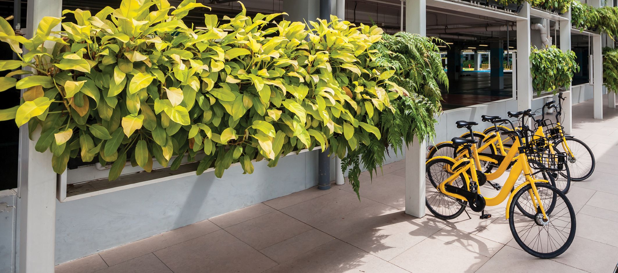 CSR_2020_Banner_2352x1040-new