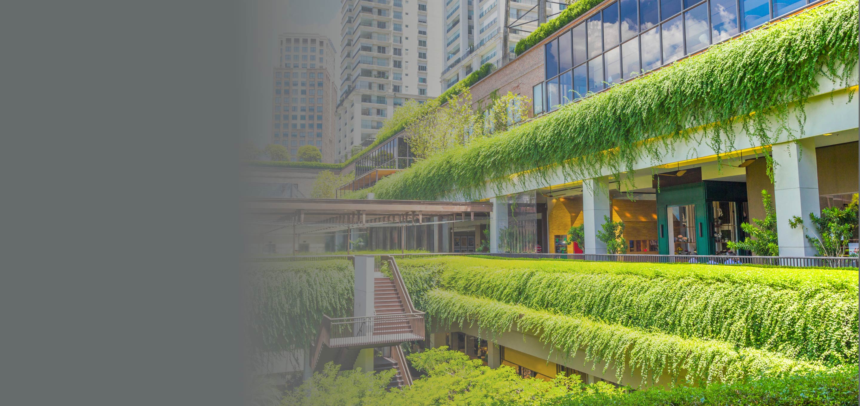Sustainability (image)