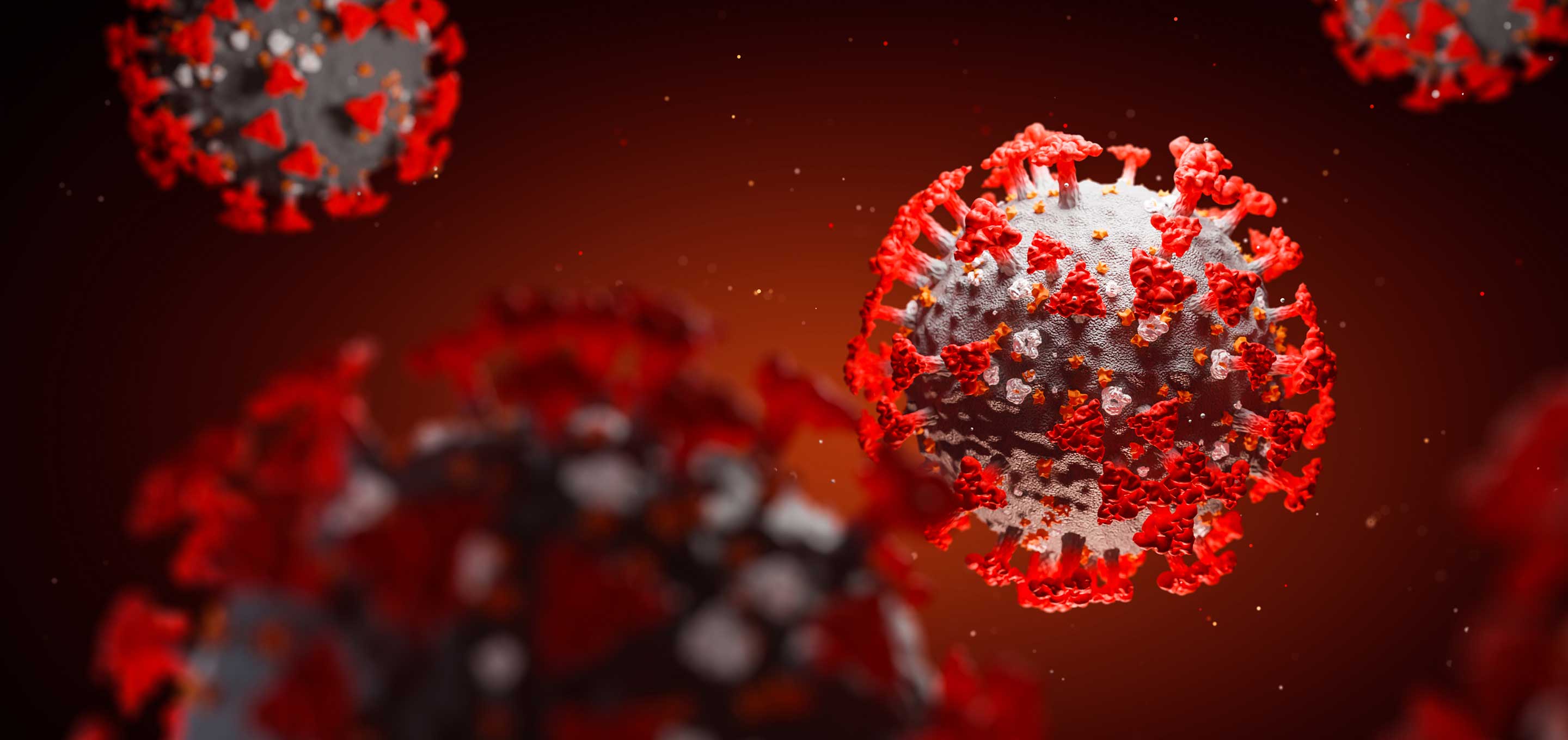 Coronavirus (image)