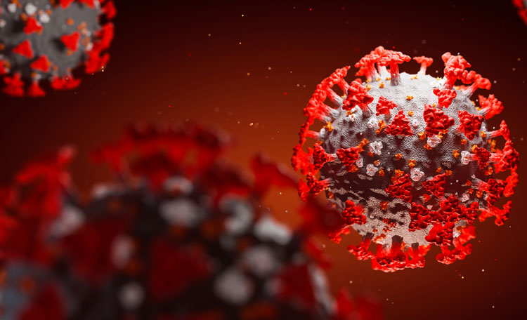 coronavirus (image)