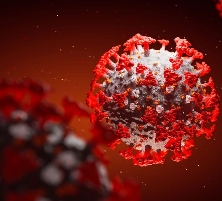 coronavirus (imagE)