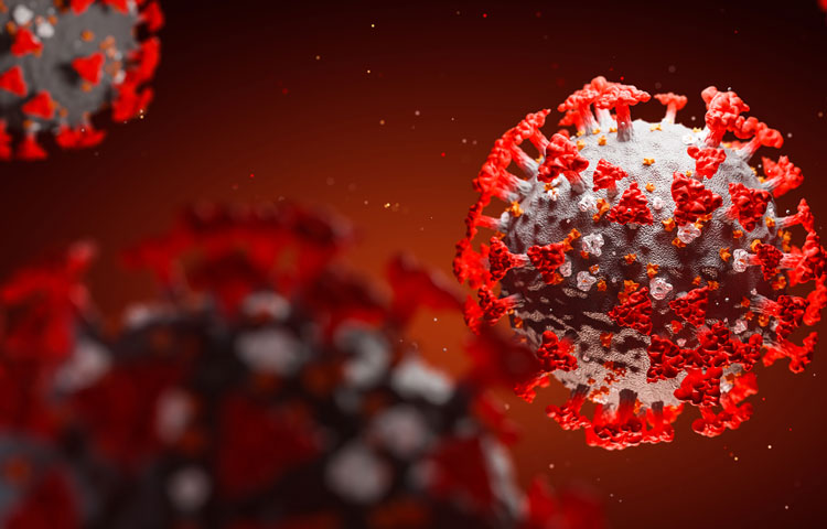 coronavirus (image)