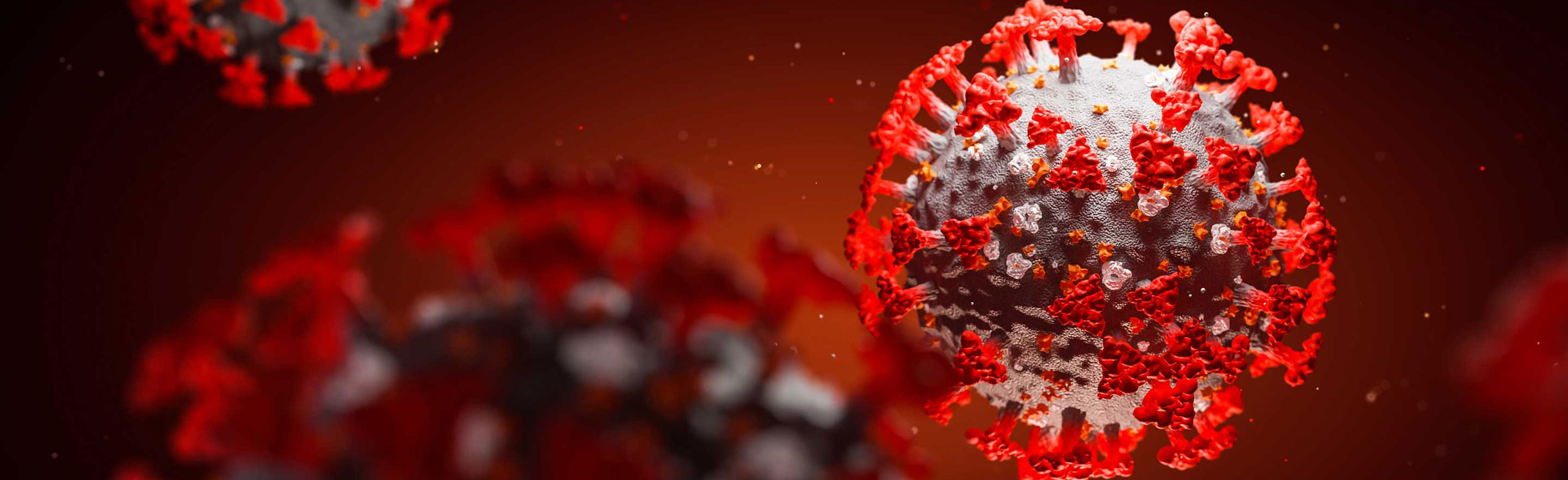 coronavirus (image)