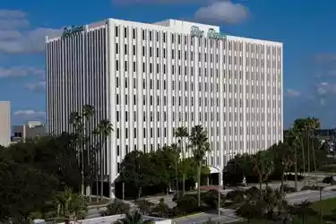 Tampa - Office