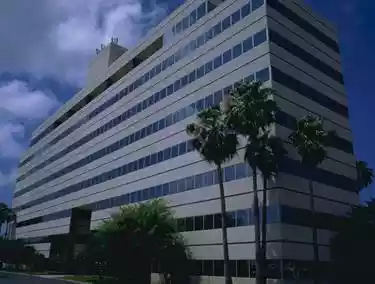 Tampa - Office