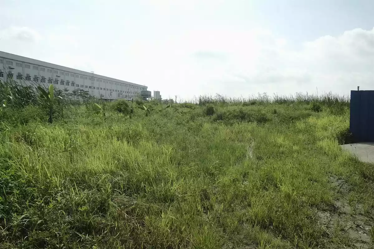 Logistics Land for Sale in My Hao, Hung yen